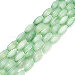Naturali di acqua dolce perline shell fili&nbsp;SHEL-C010-01