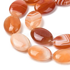 Chapelets de perles en agate à rayures naturelles/agates à bandes&nbsp;G-Q182-01D