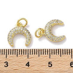 Porte micro ouvrent pendentifs zircone cubique en laiton de placage&nbsp;KK-Z039-22G