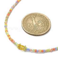 Collana con pietre preziose naturali miste e perline di semi di vetro&nbsp;NJEW-JN04426