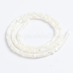 Natürliche Trochidschale / Trochusschalenperlenstränge&nbsp;X-SSHEL-L016-13A