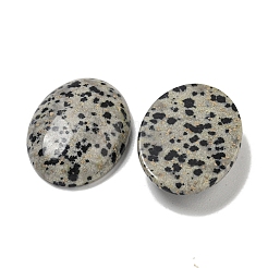 Dalmatien naturel jaspe cabochons&nbsp;G-C115-01B-10