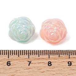 UV-beschichtete undurchsichtige Acrylperlen&nbsp;OACR-G058-17A