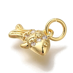 Estante de placas micro latón allanan charms de circonio cúbico&nbsp;KK-I720-10G