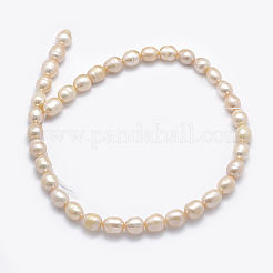 Brins de perles de culture d'eau douce naturelles&nbsp;PEAR-K003-26C-01