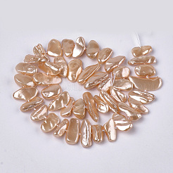 Fili di perle di conchiglia di elettropeste&nbsp;SSHEL-S261-01