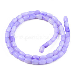 Filo di perline di conchiglia d'acqua dolce naturale&nbsp;SHEL-T017-39D