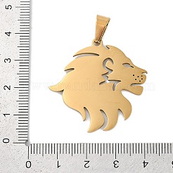 Pendentifs en acier inoxydable 304 avec placage ionique (IP)&nbsp;STAS-R135-20G
