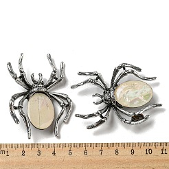 Spilla a forma di ragno con conchiglia tinta in pavé di lega di articoli a duplice uso&nbsp;JEWB-C026-04E-AS