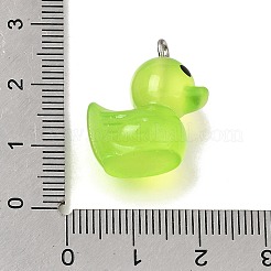 Leuchtende transparente Harzanhänger&nbsp;RE-CBAAB56-12B