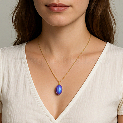 6 collier pendentif ovale en plastique de 6 couleurs&nbsp;NJEW-HY0001-11
