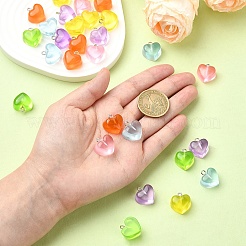 30pcs 6 Farben transparente Harzanhänger&nbsp;RESI-YW0001-75