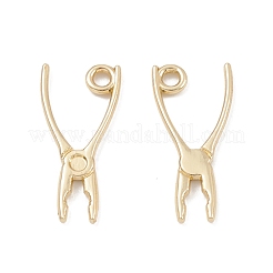 Aluminium Anhänger & Charms&nbsp;PALLOY-K003-09LG