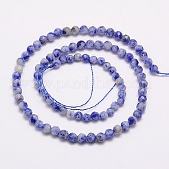 Natürliche blaue Fleck Jaspis Perlen Stränge&nbsp;G-G545-17