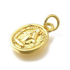 Pendentifs en laiton&nbsp;KK-D295-27G-01