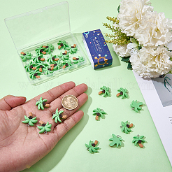30pcs pendentifs en résine opaque&nbsp;RESI-SC0006-89
