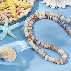 Shell perle naturali fili&nbsp;BSHE-WH0013-01