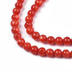 Eau douce naturelle de coquillage perles brins&nbsp;SHEL-N003-24-B05