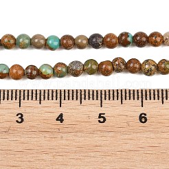 Natürliche afrikanische türkis (jasper) perlen stränge&nbsp;G-Z163-B02-4mm