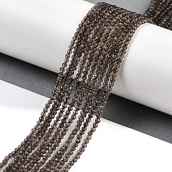 Natürlichen Rauchquarzperlen Stränge&nbsp;X-G-P553-G05-01