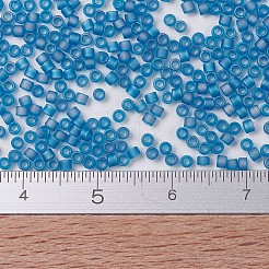 Perles miyuki delica&nbsp;X-SEED-J020-DB0862