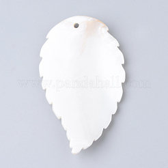 Guscio di acqua dolce grandi ciondoli&nbsp;X-SHEL-S249-02