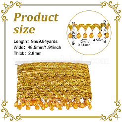 Ruban de dentelle à pampilles en polyester&nbsp;OCOR-WH0079-75F