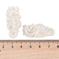 Anhänger aus natürlicher weißer Muschel&nbsp;SSHEL-C012-05
