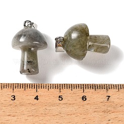 Pendentifs de labradorite naturelle&nbsp;GG-CBAA0EE-05P-04