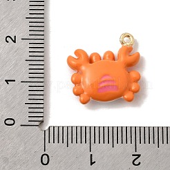 Pendentifs d'émail en alliage&nbsp;FIND-Z119-08G