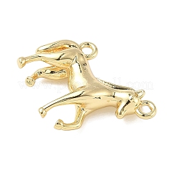 Messing Anhänger & Charms&nbsp;ZIRC-I356-04G-02