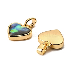 Natürliche Paua-Muschel-Herzanhänger&nbsp;KK-G538-20G