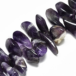 Perle di fili di ametista naturale&nbsp;G-R485-06B