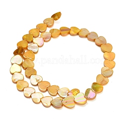 Eau douce naturelle de coquillage perles brins&nbsp;SH-CBA93AD-06B