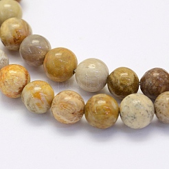 Fossili perle di corallo fili&nbsp;X-G-G697-F01-4mm