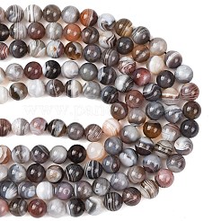 Natur Botswana Achat Perlen Stränge&nbsp;G-G453-A01-10mm