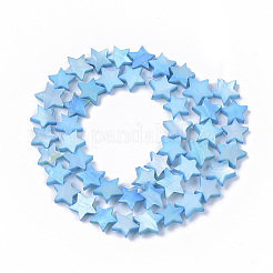 Shell perle d'acqua dolce fili&nbsp;X-SHEL-T014-009B