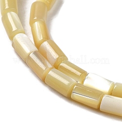 Fili di perline di conchiglia trochus naturale&nbsp;SHEL-K006-37