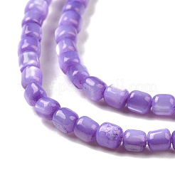 Brins de perles de coquillages naturels de troca&nbsp;SSHEL-H070-02