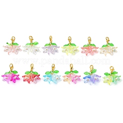 12 Stück 12 Farben Blumen-Acryl-Anhänger-Dekorationen&nbsp;HJEW-JM02718