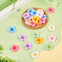 28pcs 7 couleurs pendentifs en résine opaque&nbsp;RESI-TA0005-19