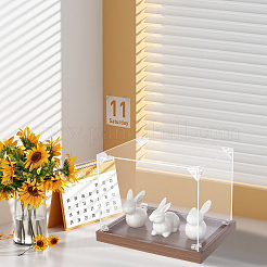 Boîtes de présentation acryliques transparentes&nbsp;AJEW-WH0475-57