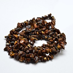 Chip natürlichen Tigerauge Perlen Stränge&nbsp;X-G-N0134-09