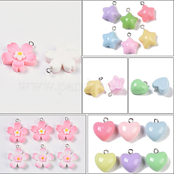 Colgantes de resina opaca 60pcs 3 estilos&nbsp;FIND-SC0036-62