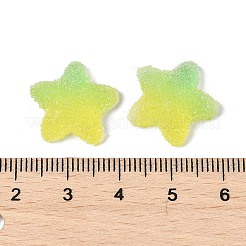 Harz-Cabochons im Süßigkeiten-Lebensmittelstil&nbsp;RESI-R461-02M