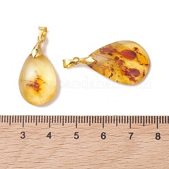 Anhänger aus natürlichem Bernstein&nbsp;PALLOY-JF05260-01