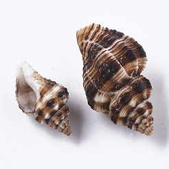 Naturspirale Muschelperlen&nbsp;SSHEL-S258-87