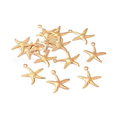 Eisen Anhänger & Charms&nbsp;IFIN-I030-10G