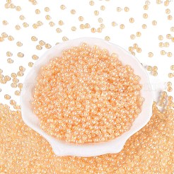Perles de rocaille en verre fgb&nbsp;SEED-Q040-08A-06