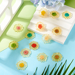 14 pièces 7 couleurs pendentifs en résine translucide&nbsp;RESI-TA0003-40